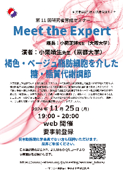 第11回研究者育成セミナー：Meet the Expert